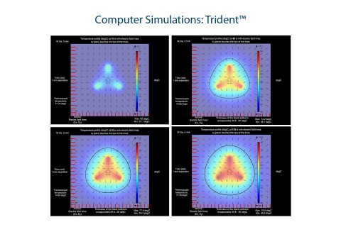Computer Simulations: Trident™